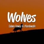 Selena Gomez – Wolves (Lyrics) ft. Marshmello